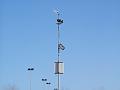 2005_0211_135119