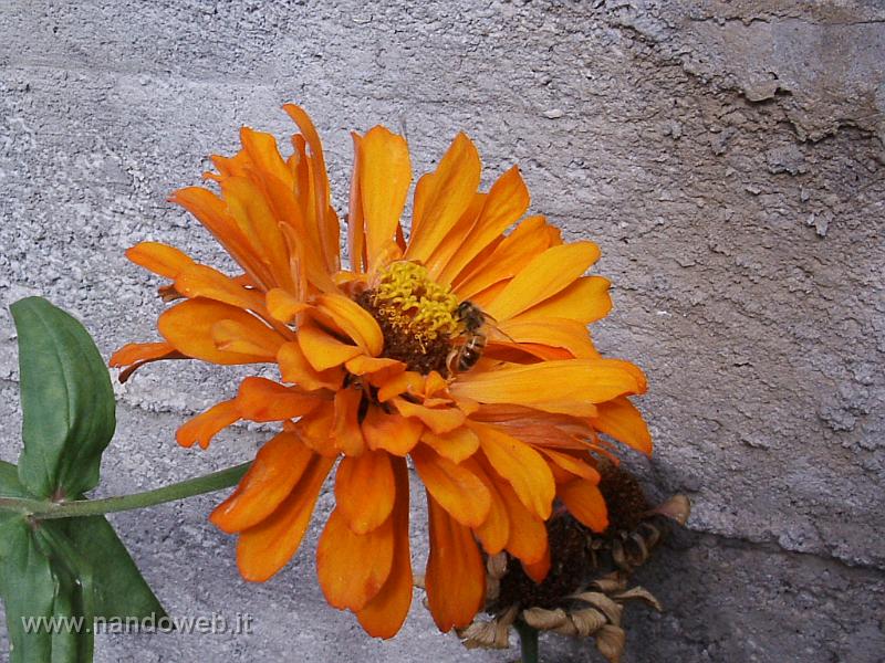 2005_0923_145047.JPG