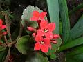 2006_0402_162852